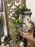 HANGING CURLY FICUS