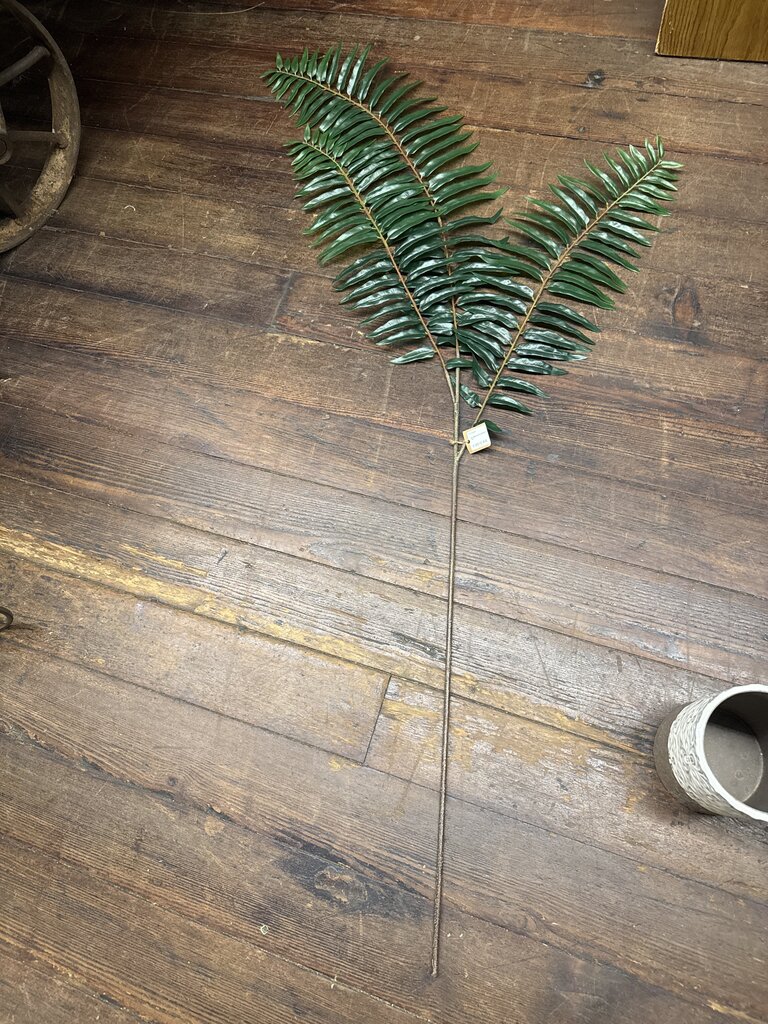 OVERSIZED FERN LEAF