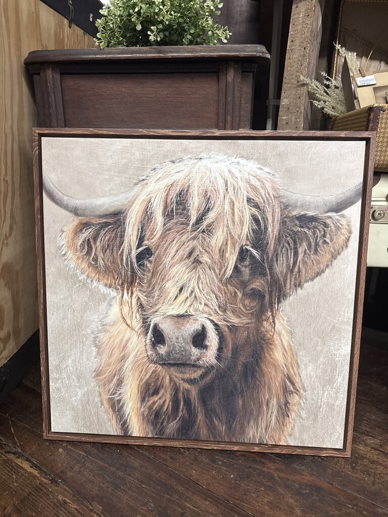 HIGHLAND COW CANVAS WITH WOOD FRAME