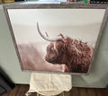 HIGHLAND COW SIDE PROFILE
