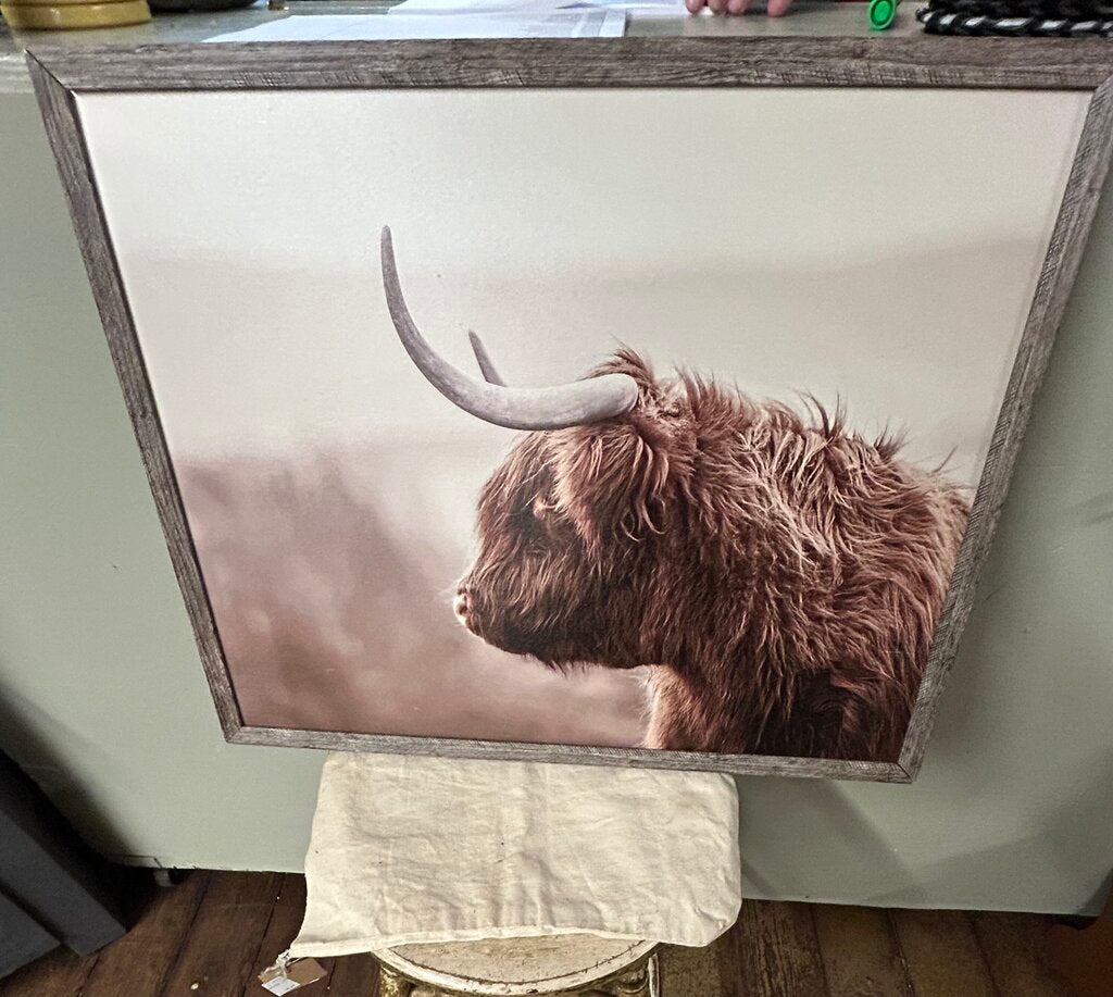 HIGHLAND COW SIDE PROFILE