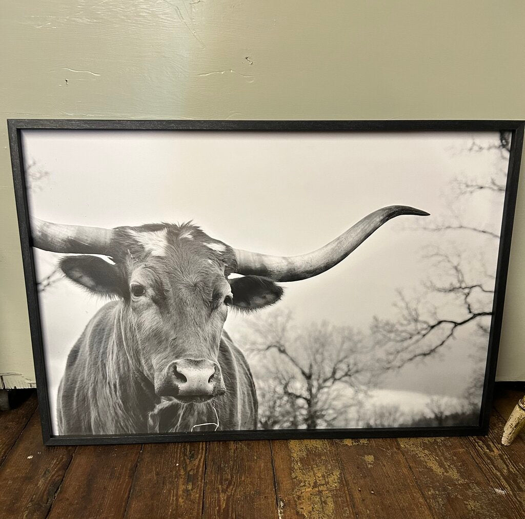 BLK AND WHITE COW