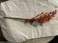 PIP BERRY STEM ORANGE