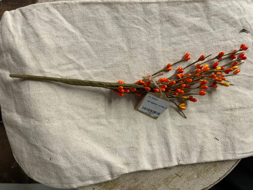 PIP BERRY STEM ORANGE