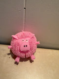 PIG PUFFER