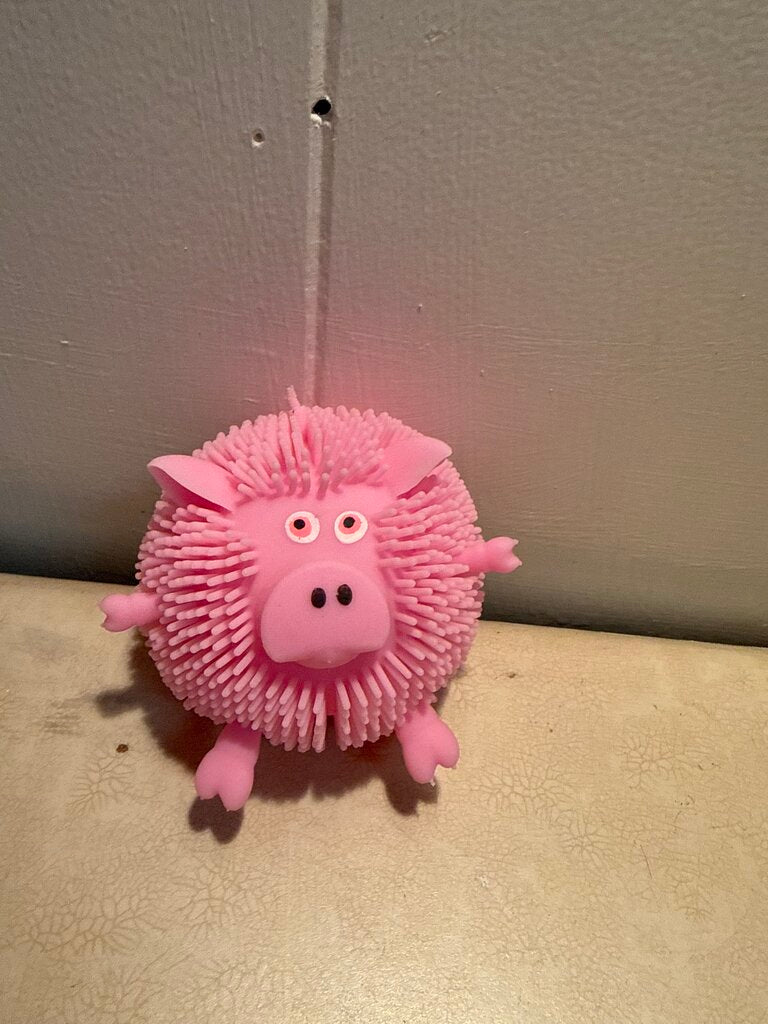 PIG PUFFER