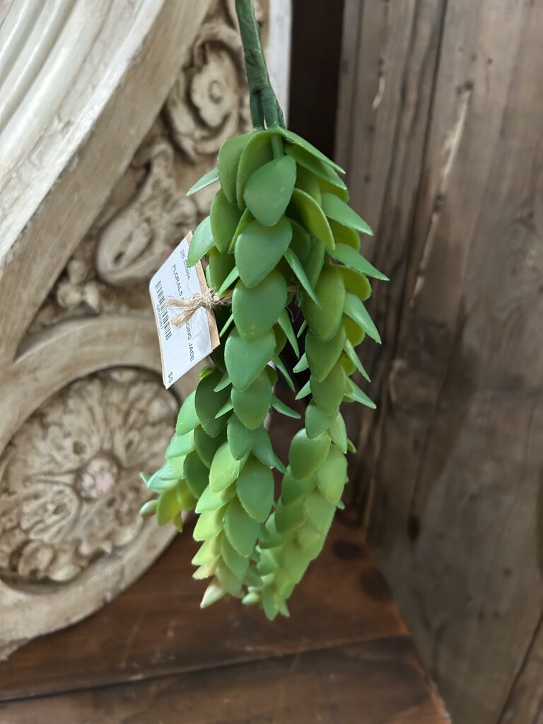 9.5 HANGING JADE