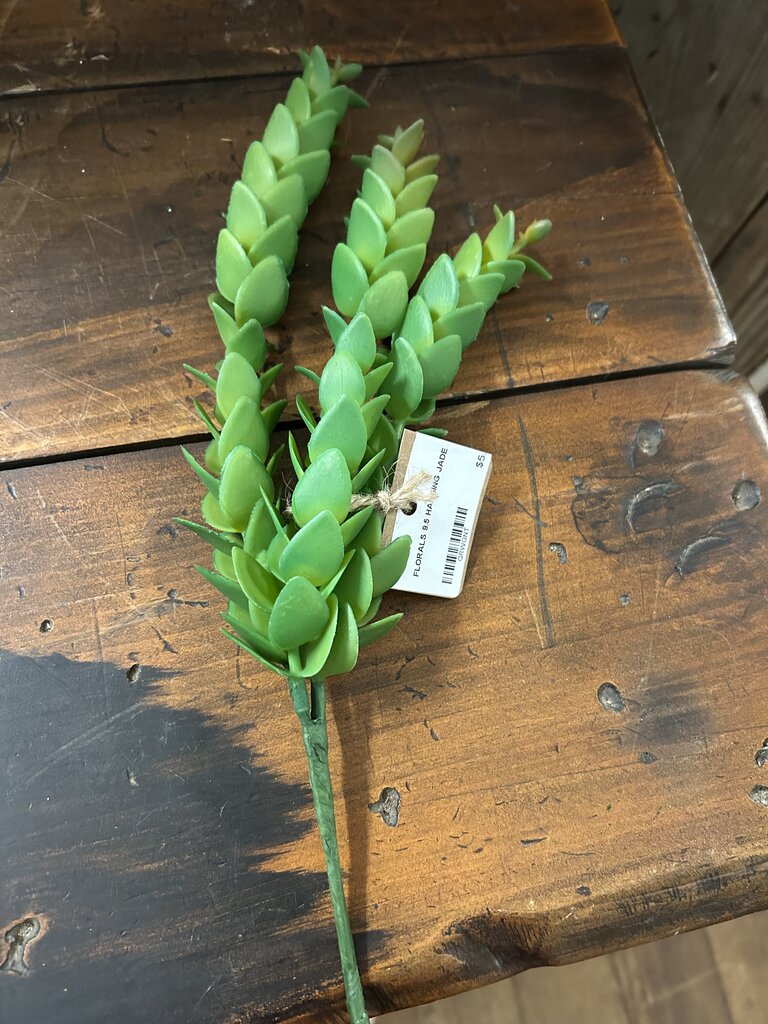 9.5 HANGING JADE