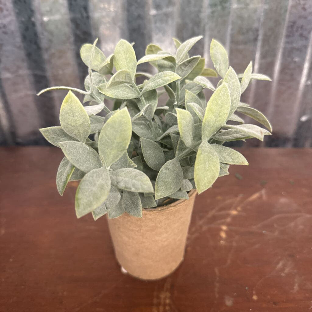 LEAF TES PAPER POT