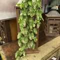 GREEN HOPS