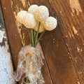 BILLY BUTTON BOUQUET