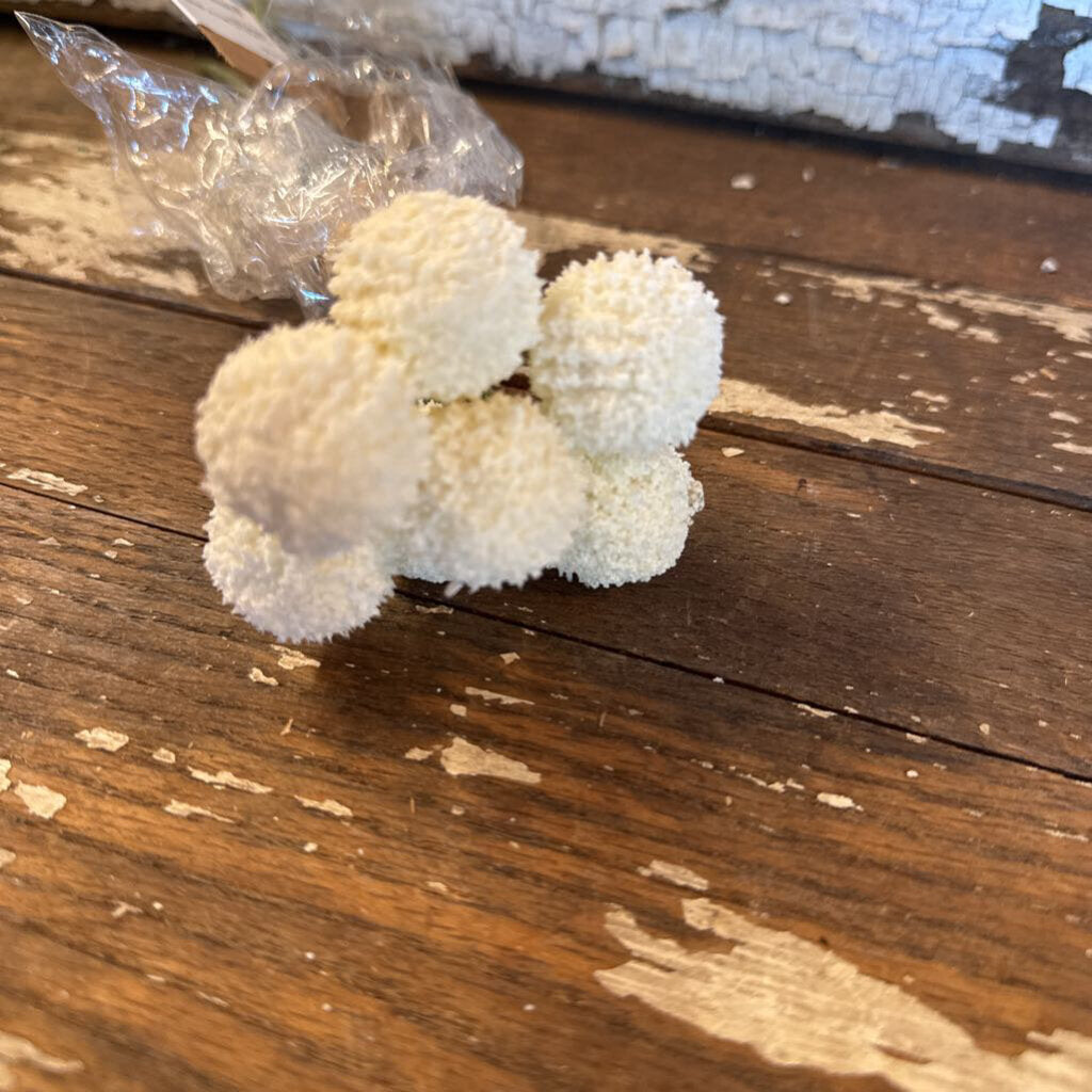 BILLY BUTTON BOUQUET