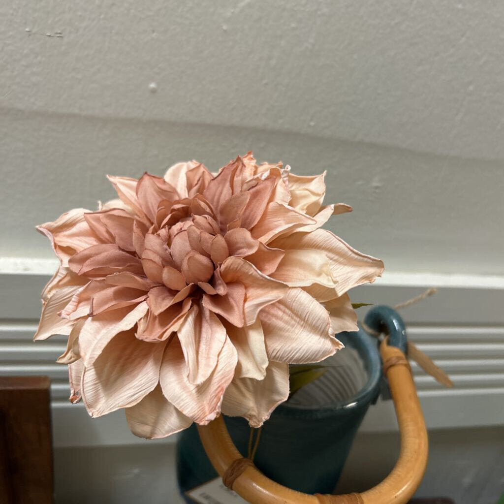 PINK DAHLIA FLOWER
