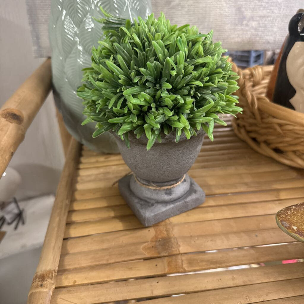 GREENERY IN CONCRETE VASE