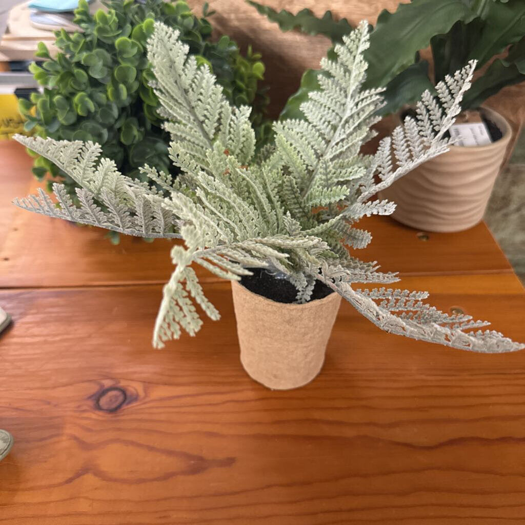 PAPER POTTED FERN