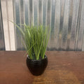 POTTED GREENERY