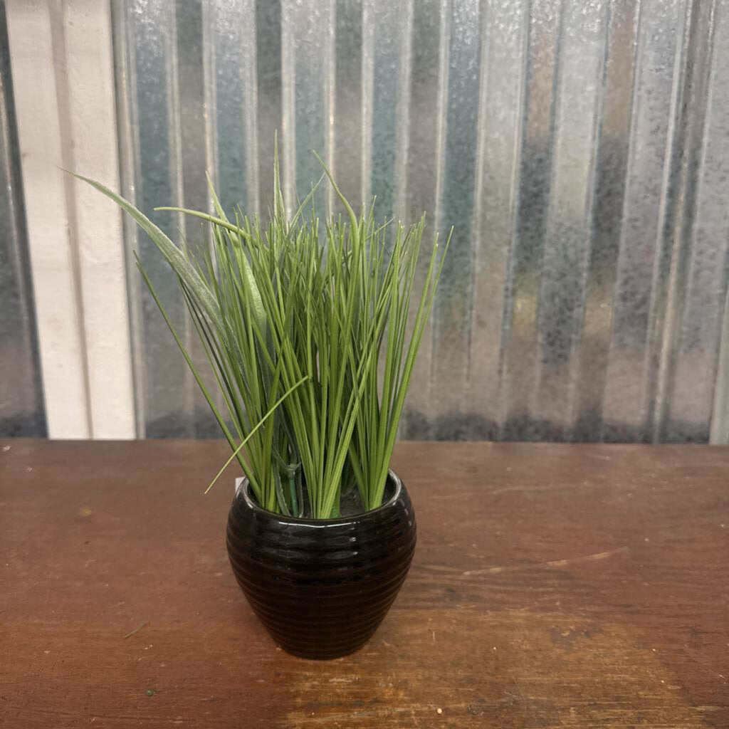POTTED GREENERY