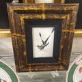 SM BIRD PICTURE