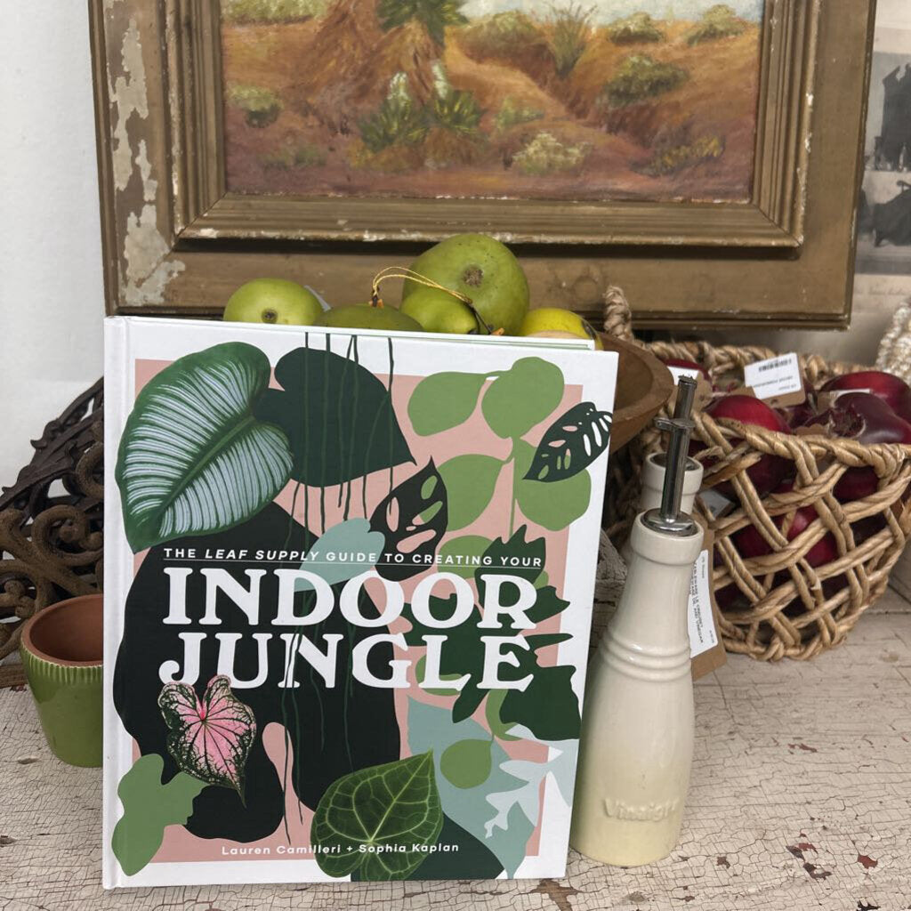 INDOOR JUNGLE