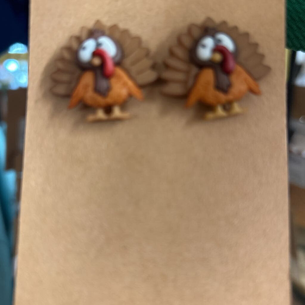 TURKEY ER