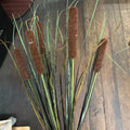 CAT TAILS