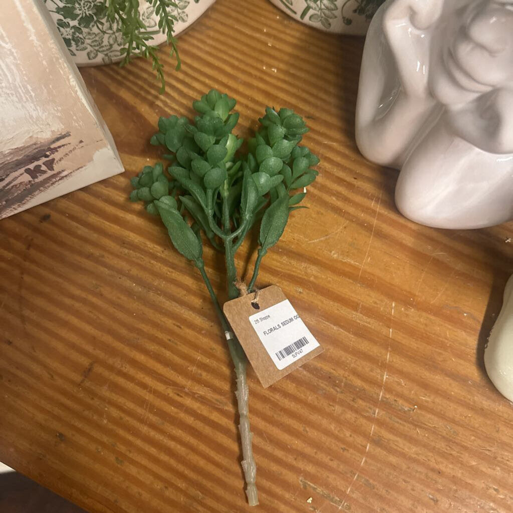 An artificial green succulent stem.