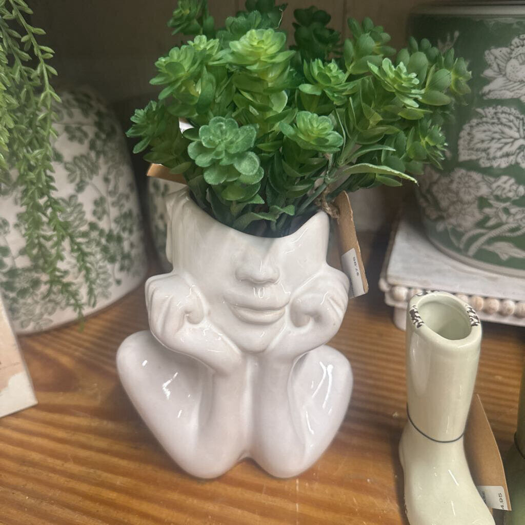 SEDUM OGON