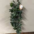 TRAILING JADE