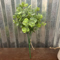 GREEN EUCALYPTUS