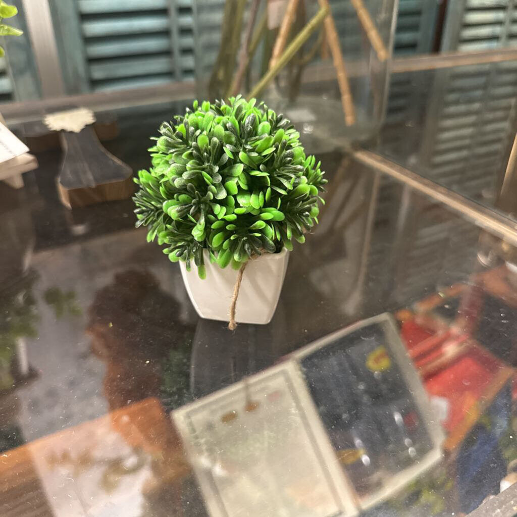PLANTED TOPIARY