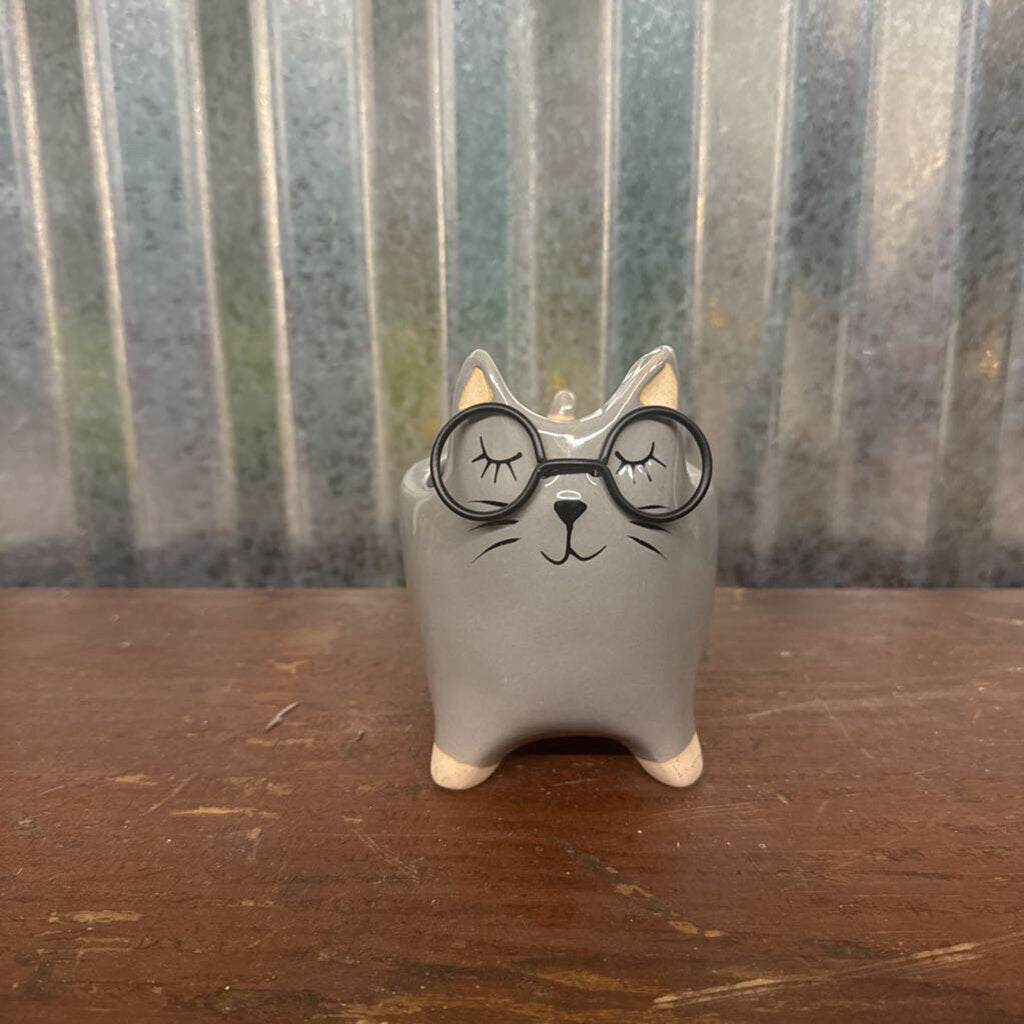 SMALL CAT WITH GLASSES