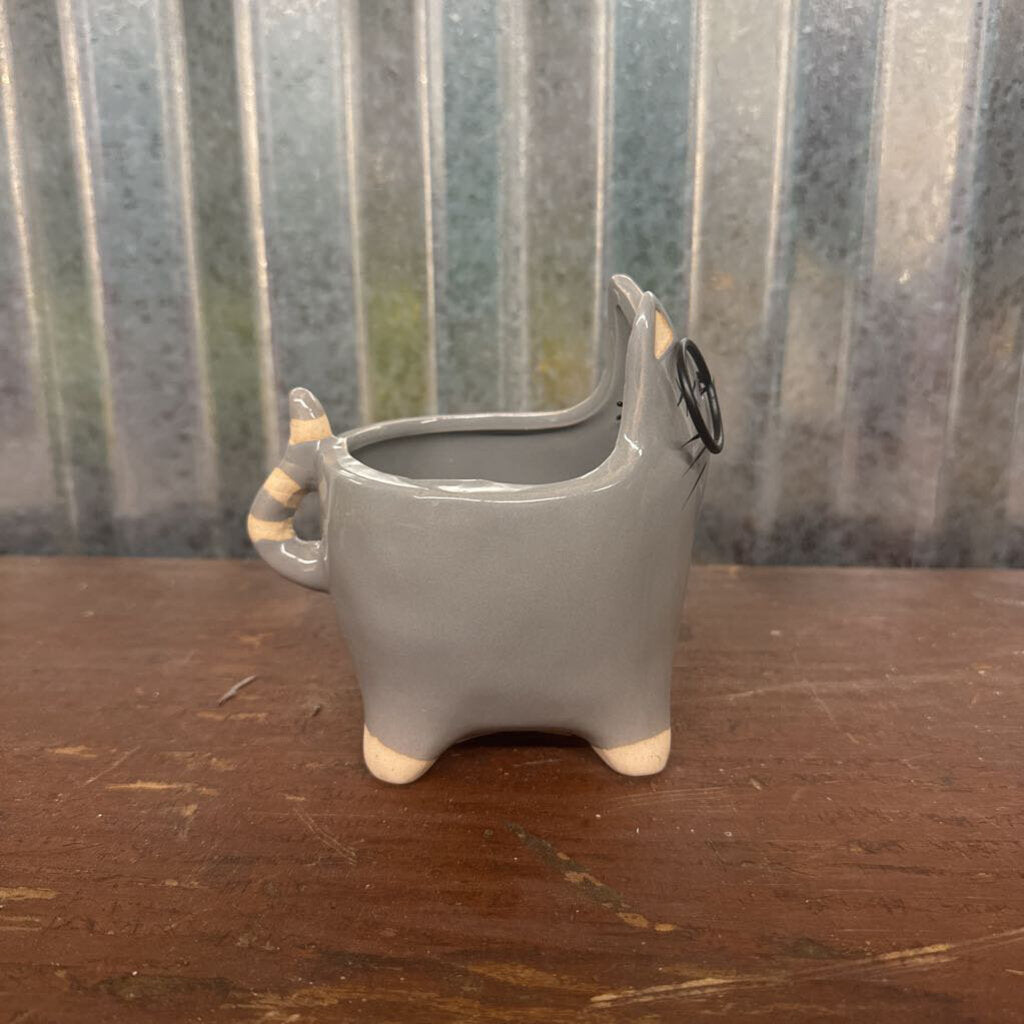 SMALL CAT WITH GLASSES