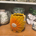 MED SUNFLOWER