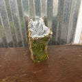 MOSS BUTTERFLY BASKET