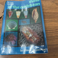 SHELLS OF THE CARIBBEAN