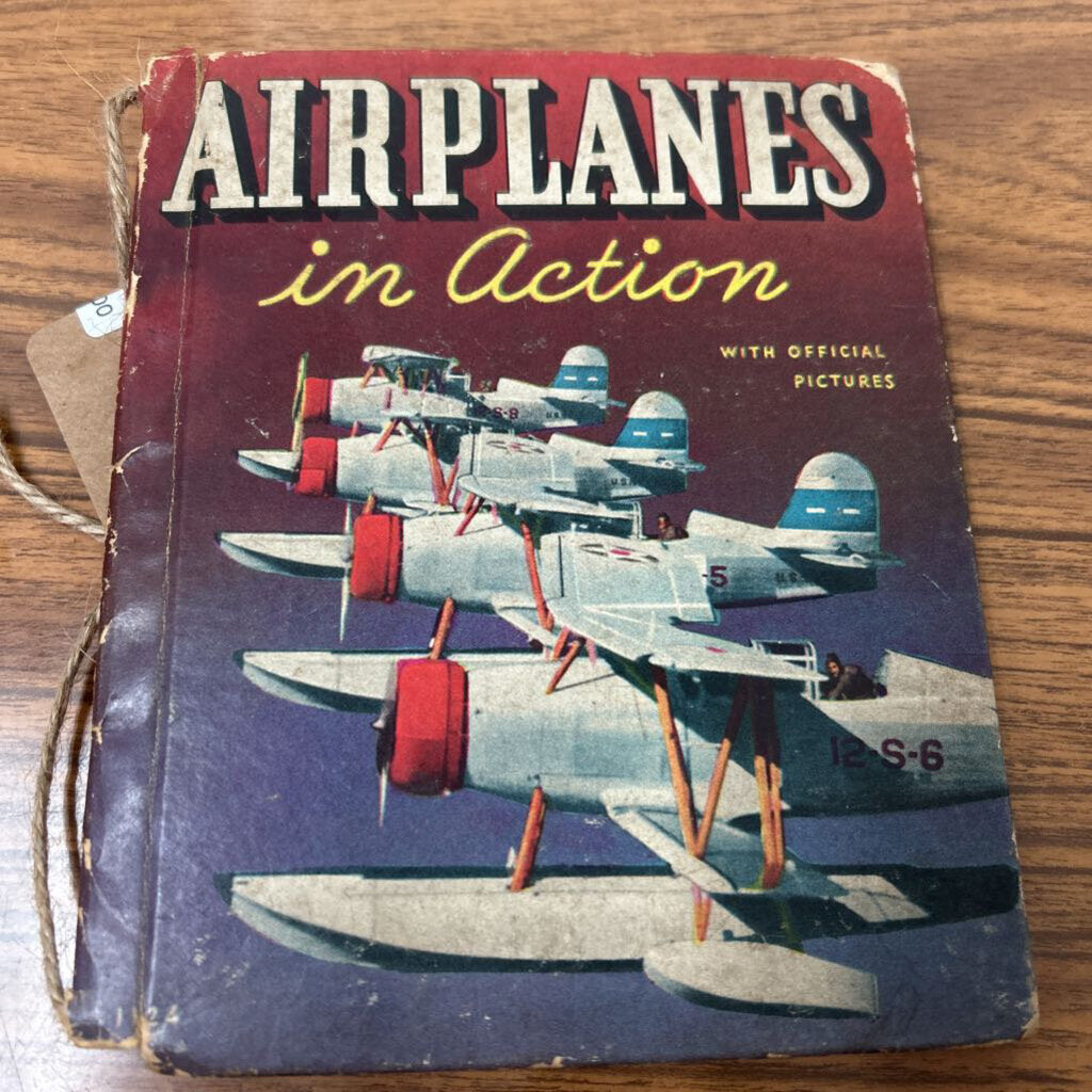 AIRPLANE IN ACTION