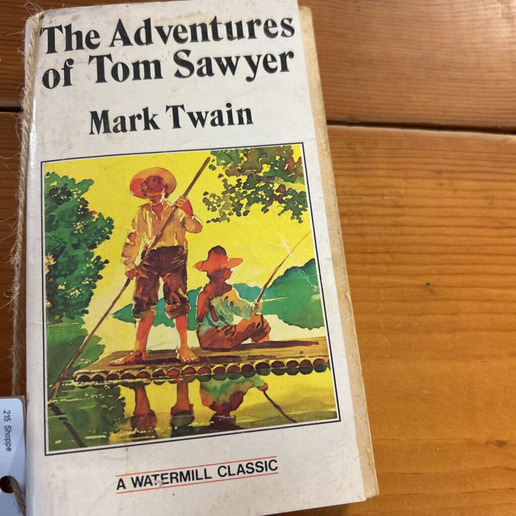 THE ADVENTURES OF TOM SAWYER