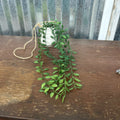 HANGING STRING OF NICKELS