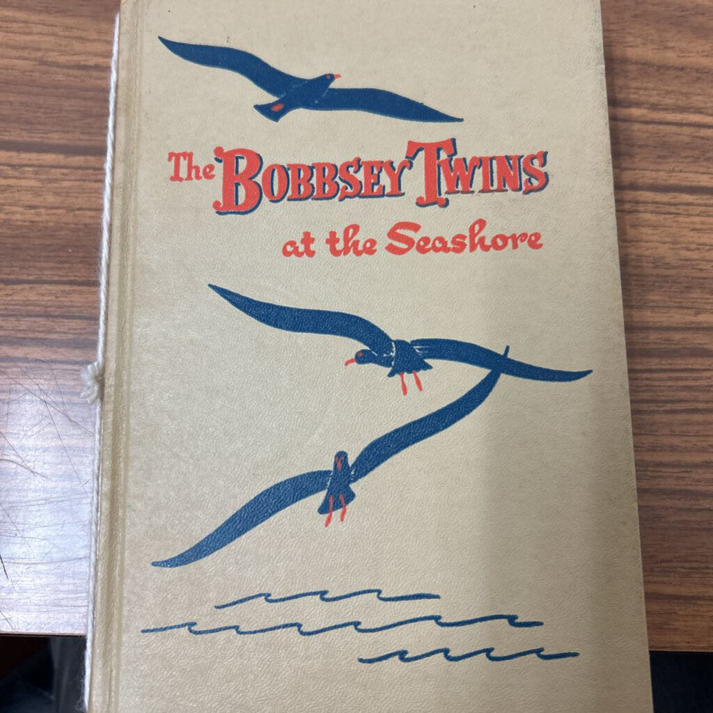 THE BOBBSEY TWINS AT THE SEASHORE
