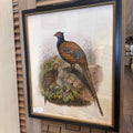 Pheasant Artwork 16 x 20