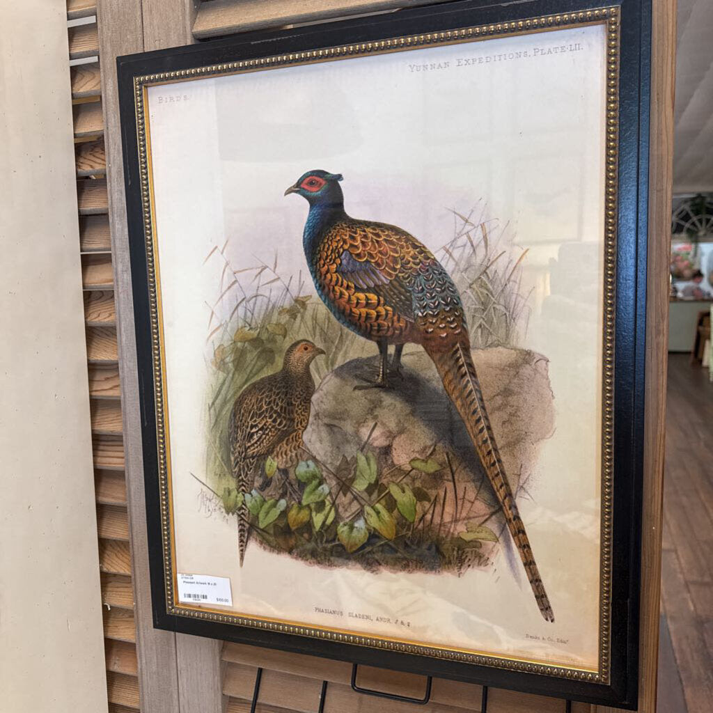 Pheasant Artwork 16 x 20