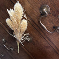 AMBER WAVES STEM