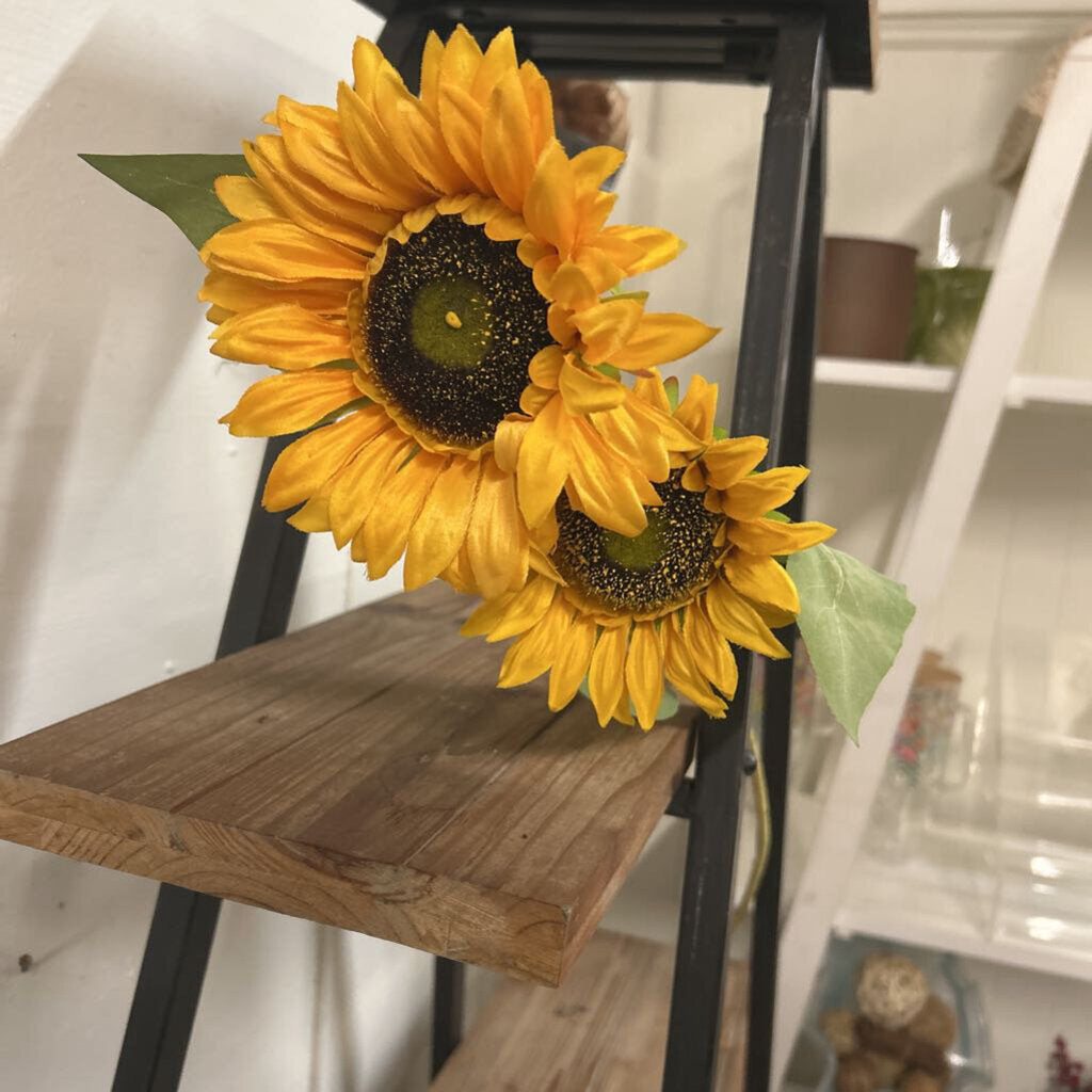 SUNFLOWER TRIPLE STEM TIGE