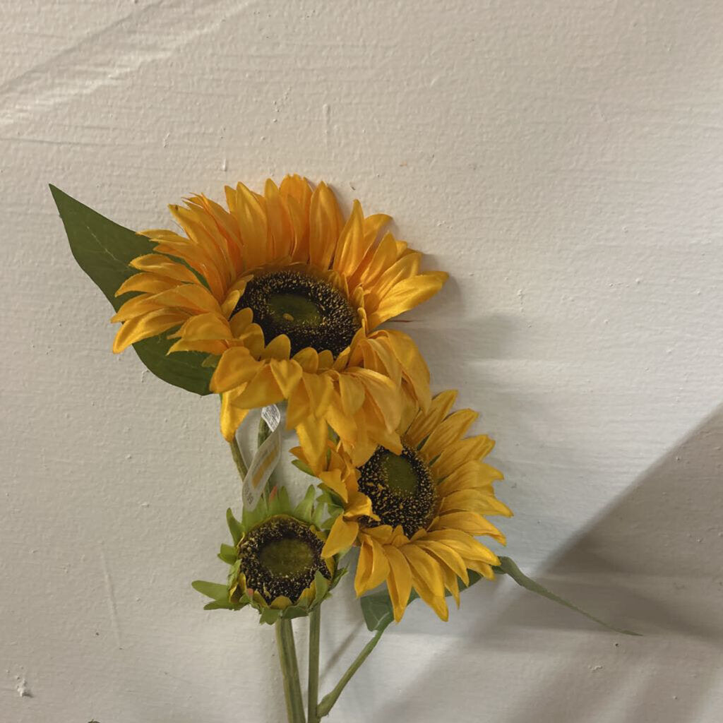 SUNFLOWER TRIPLE STEM TIGE