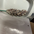 PINE CONE STEM
