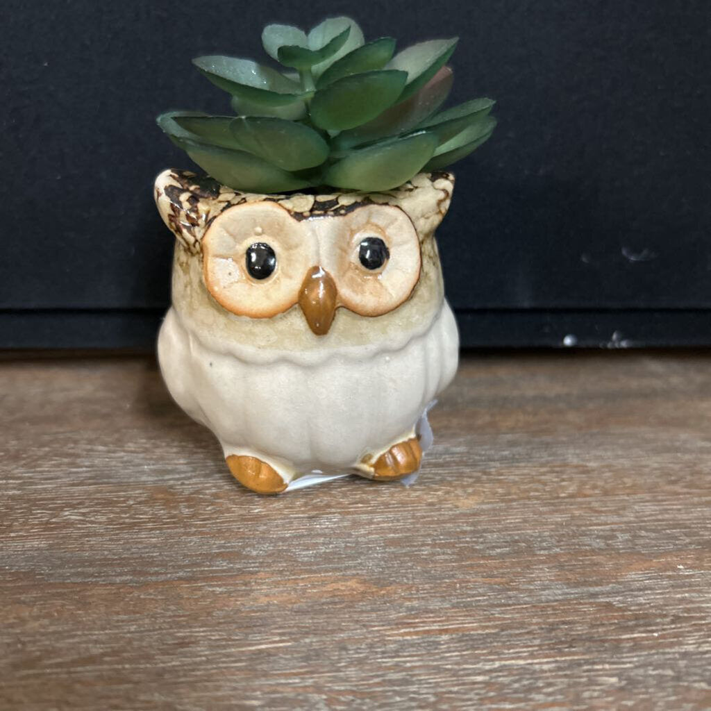 OWL POTTED SUCCULENT STRIPED PATTERN