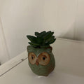 OWL POTTED SUCCULENT FEATHERED GREEN
