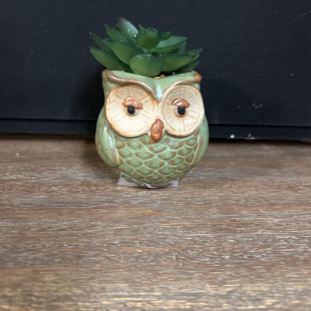 OWL POTTED SUCCULENT FEATHERED GREEN