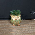 OWL POTTED SUCCULENT STRIPPED GREEN
