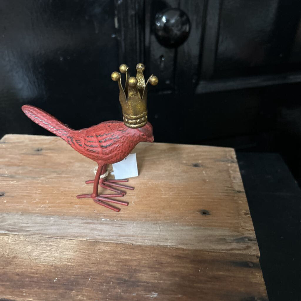 RED KING BIRD
